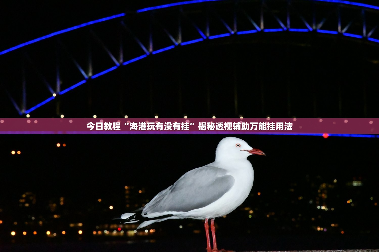 今日教程“海港玩有没有挂”揭秘透视辅助万能挂用法