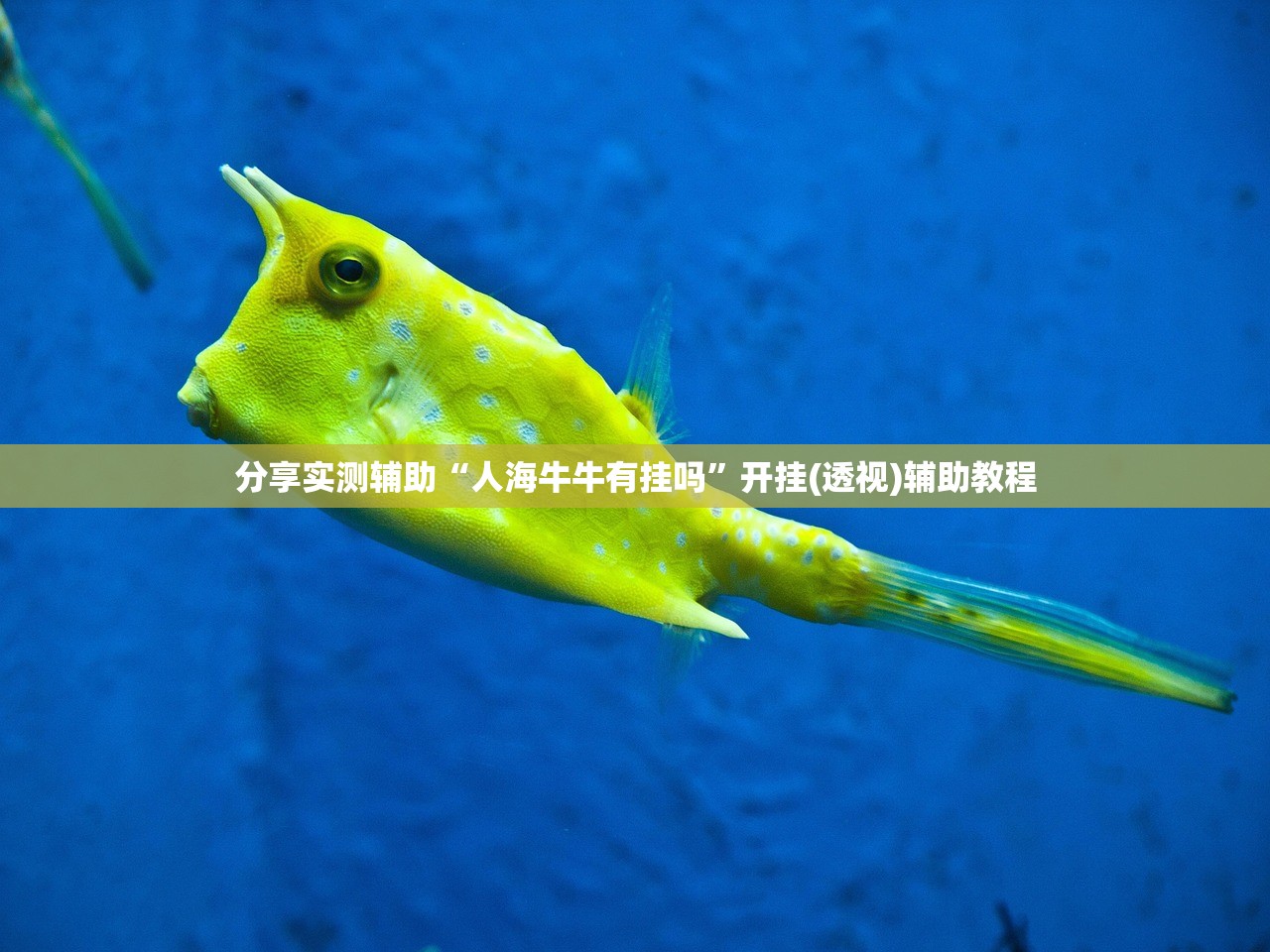 分享实测辅助“人海牛牛有挂吗	”开挂(透视)辅助教程