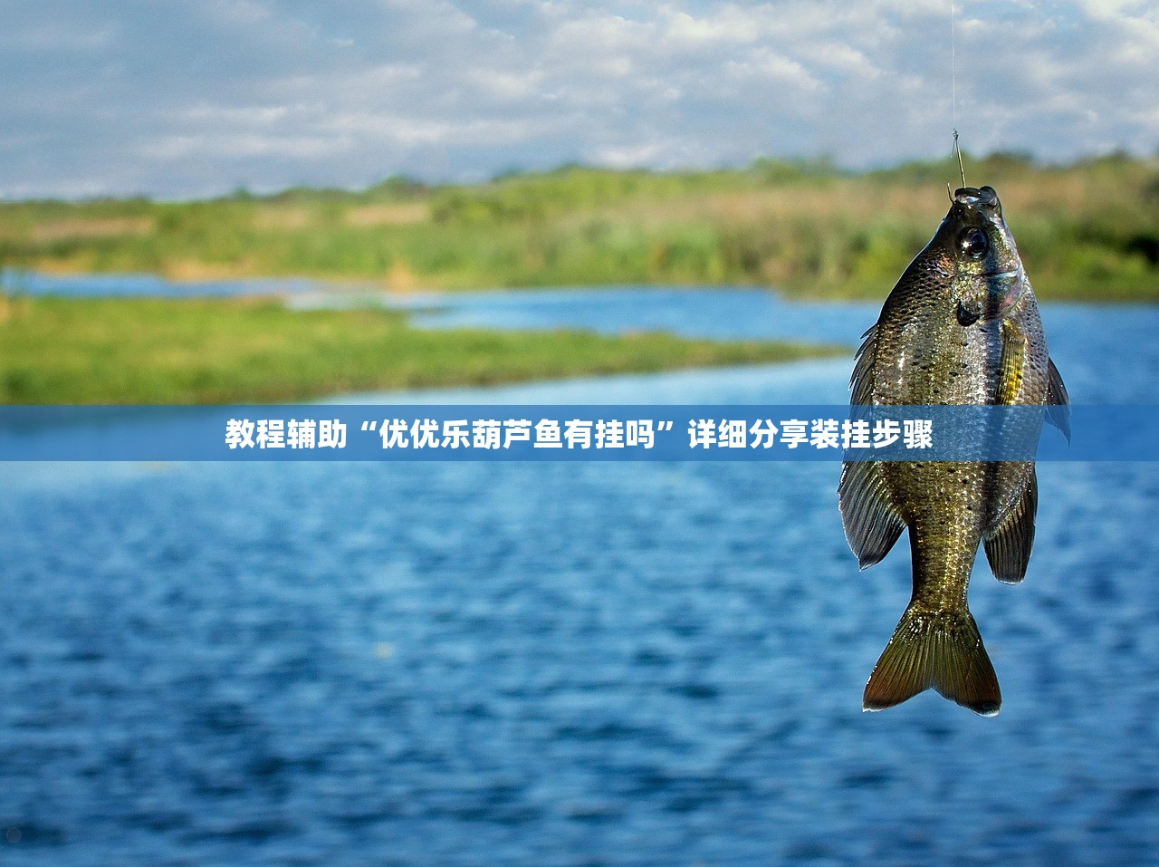 教程辅助“优优乐葫芦鱼有挂吗	”详细分享装挂步骤