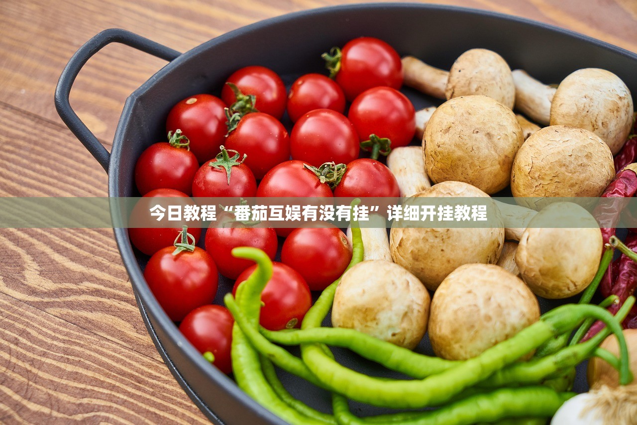 今日教程“番茄互娱有没有挂	”详细开挂教程