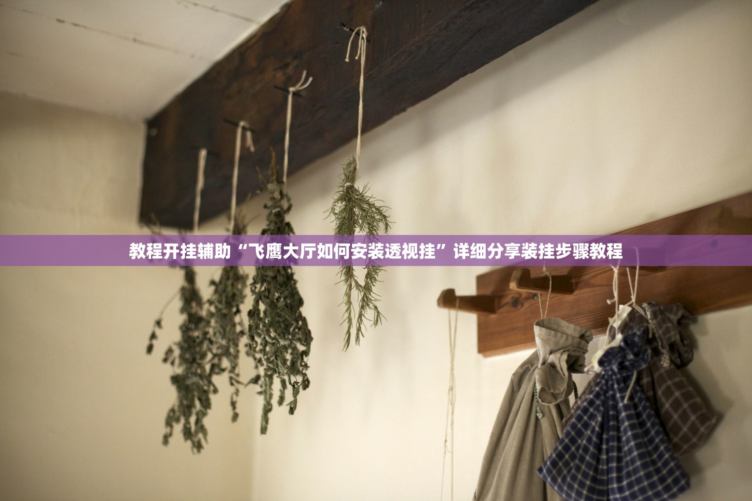 教程开挂辅助“飞鹰大厅如何安装透视挂”详细分享装挂步骤教程