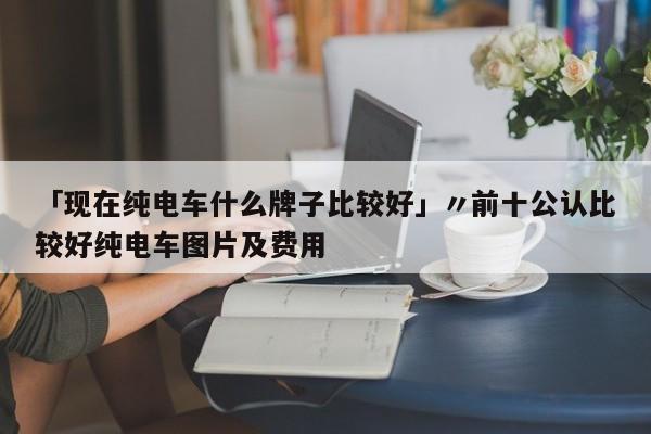 「现在纯电车什么牌子比较好」〃前十公认比较好纯电车图片及费用