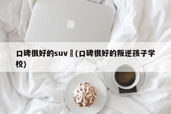 口碑很好的suv︰(口碑很好的叛逆孩子学校)