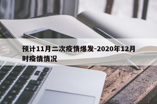 预计11月二次疫情爆发-2020年12月时疫情情况
