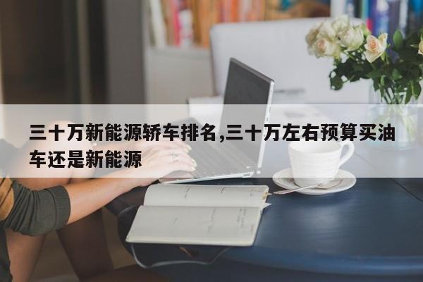 三十万新能源轿车排名,三十万左右预算买油车还是新能源