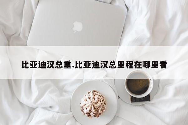 比亚迪汉总重.比亚迪汉总里程在哪里看