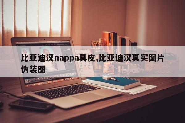 比亚迪汉nappa真皮,比亚迪汉真实图片伪装图