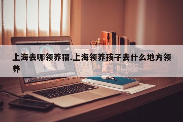 上海去哪领养猫.上海领养孩子去什么地方领养
