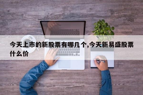 今天上市的新股票有哪几个,今天新易盛股票什么价