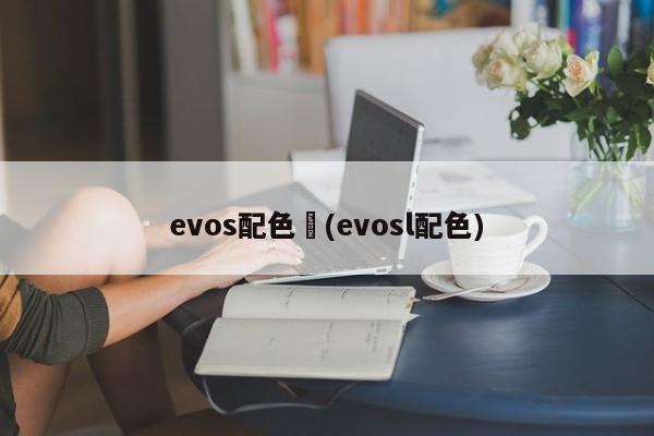 evos配色︰(evosl配色)